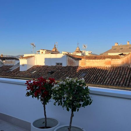 Atarazanas Suite, Atico Con Terraza Málaga Exterior foto